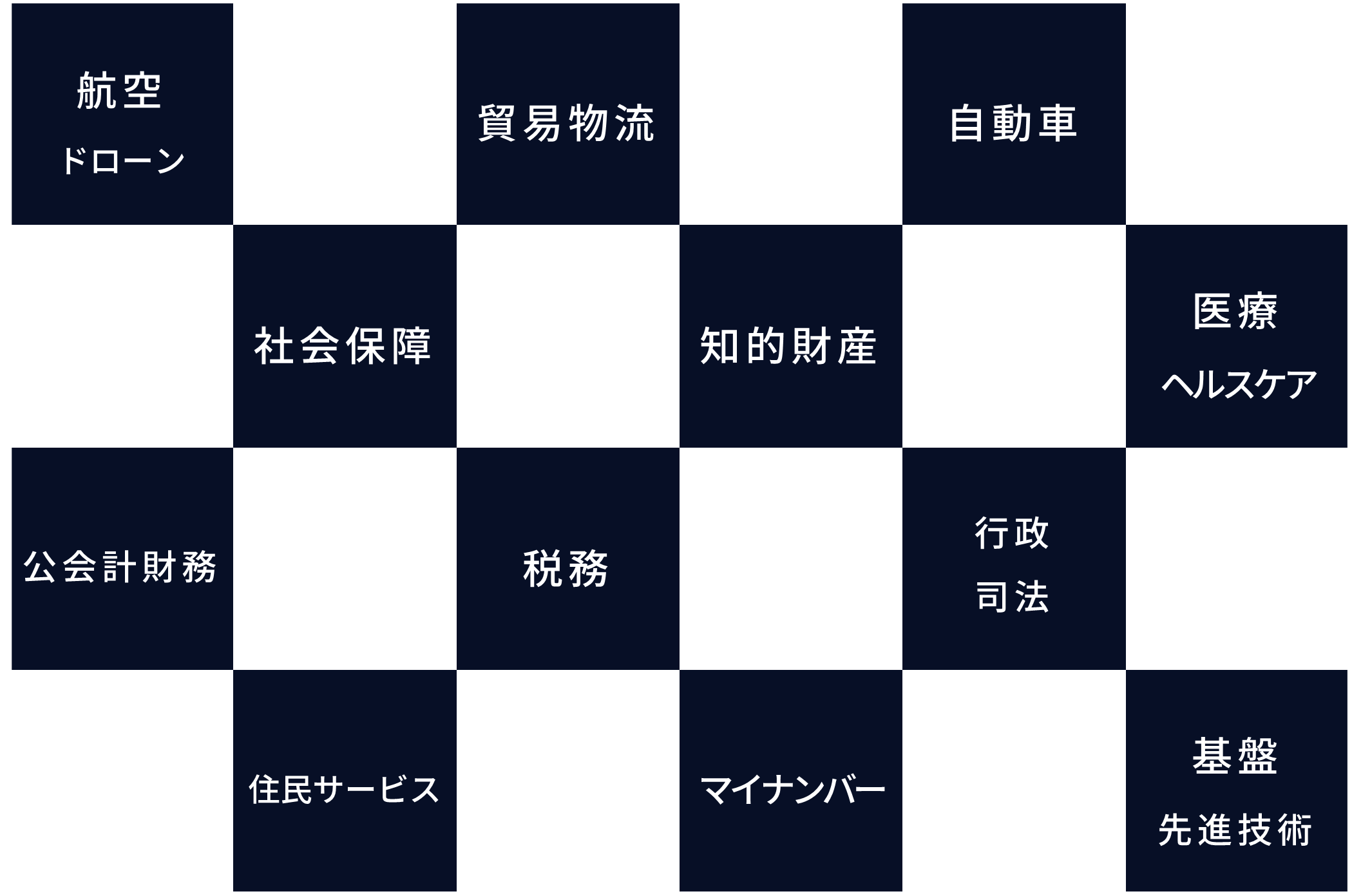 航空  貿易物流　自動車　社会保障　知的財産　医療　公会計財務　税務　行政　自治体　住民サービス　基盤・先進技術